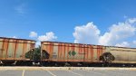 CITX 151575
